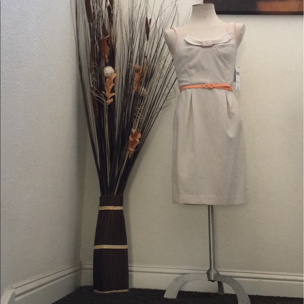 Khaki & White w/Peach Trimmings Sundress - Picture 7 of 7